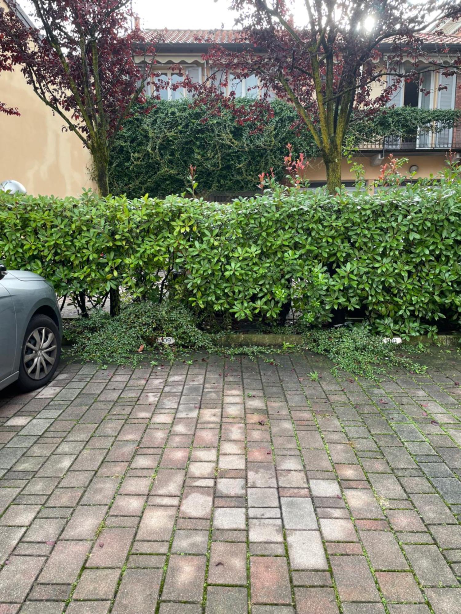 Gelsomino Appartamento Con Posto Auto Nel Centro Di 蒙扎 外观 照片